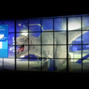 museo-del-cinema5