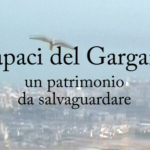 rapaci2
